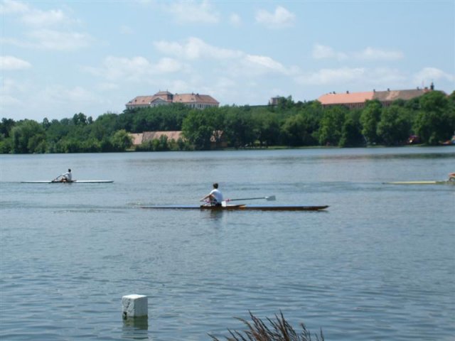 DSCF7216 (Medium)
